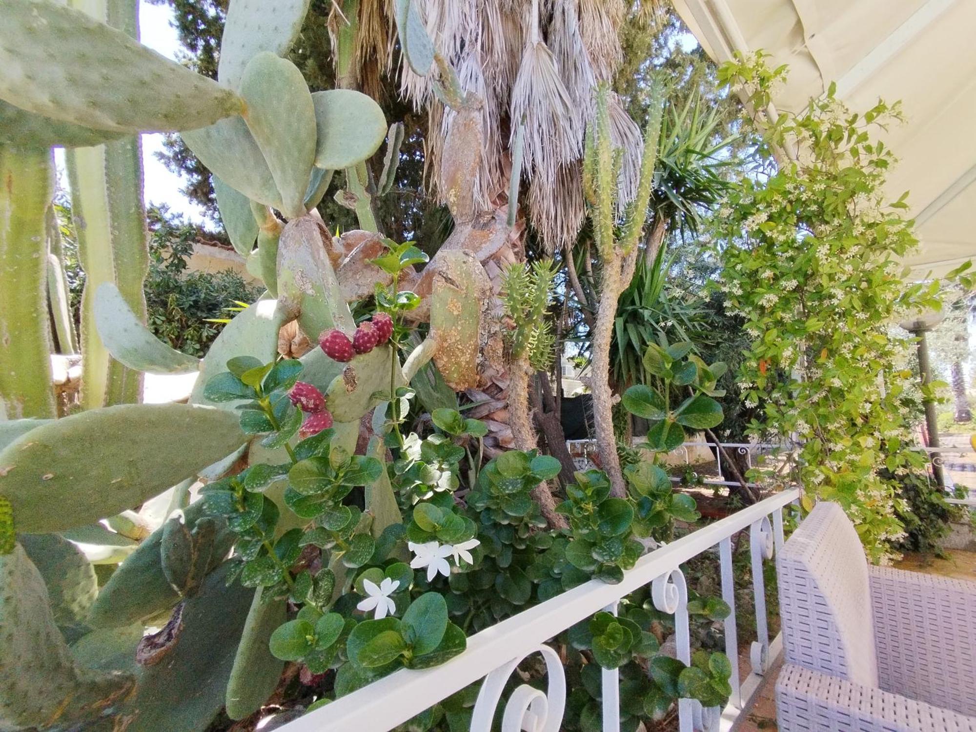 Casa Di Lu' Villa Флоридия Екстериор снимка